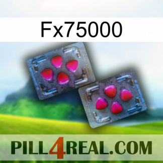 Fx75000 15